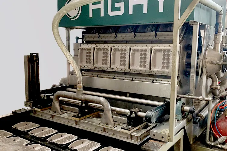 Egg Carton Machine-Molding system
